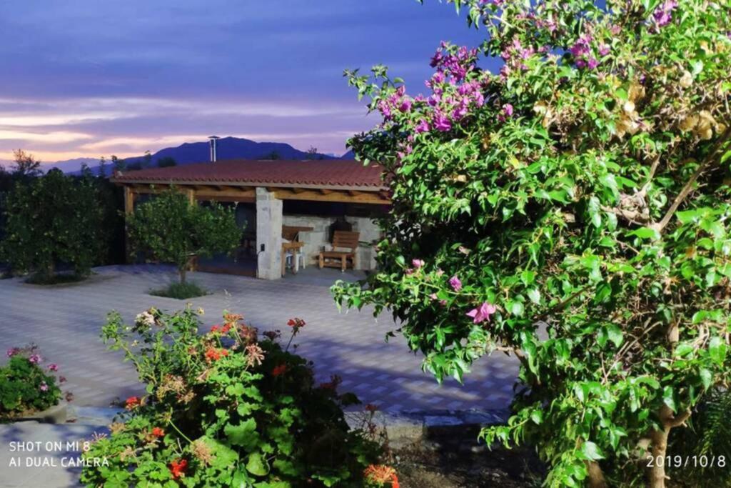 Stonehouse Olivelia - Afrathias Beach Tympáki エクステリア 写真